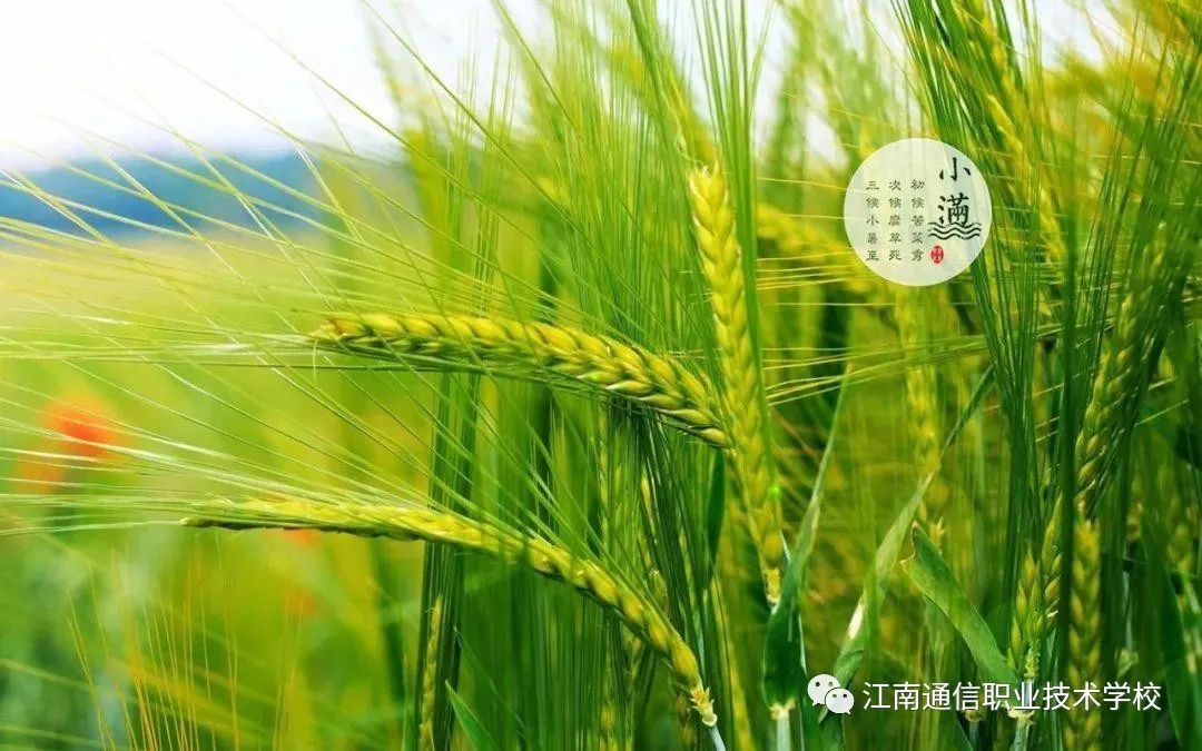 岳陽(yáng)市江南通信職業(yè)技術(shù)學(xué)校,岳陽(yáng)江南學(xué)校,岳陽(yáng)江南通信學(xué)校,岳陽(yáng)職業(yè)學(xué)校 岳陽(yáng)市江南通信職業(yè)技術(shù)學(xué)校,岳陽(yáng)江南學(xué)校,岳陽(yáng)江南通信學(xué)校,岳陽(yáng)職業(yè)學(xué)校